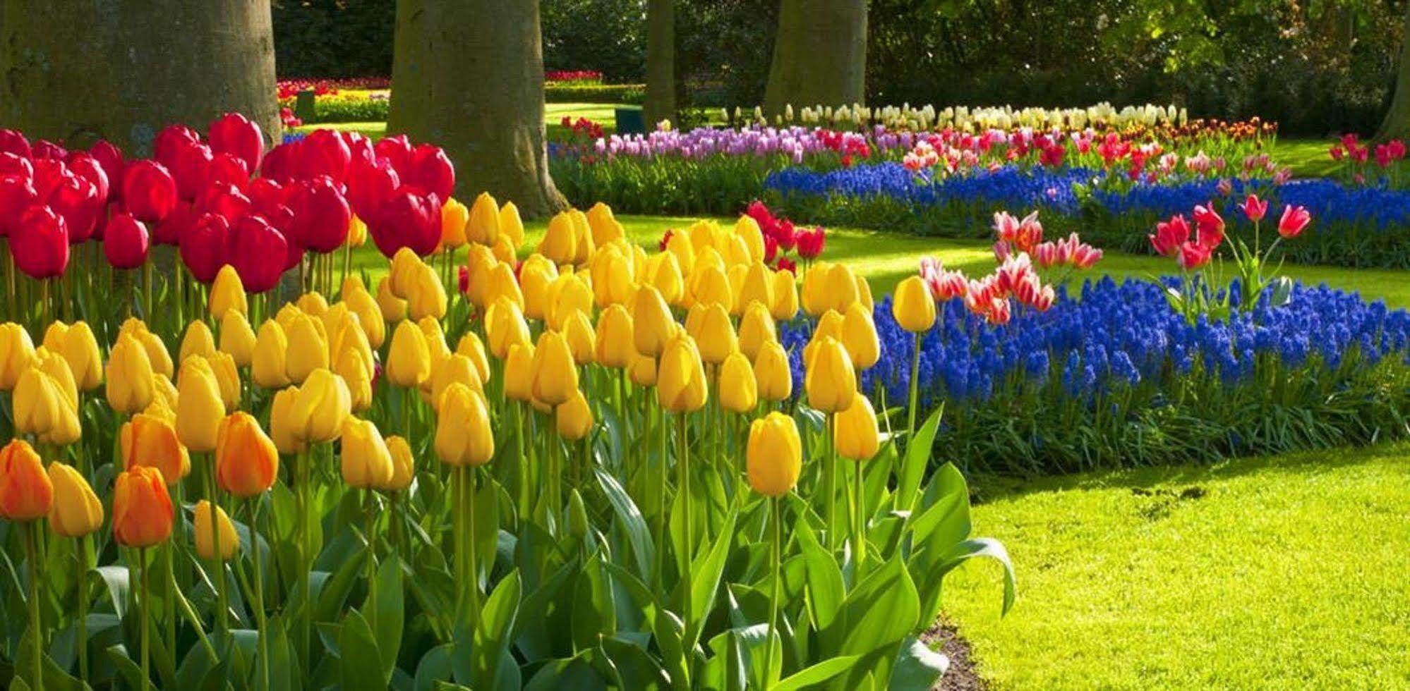 Milton Park Country House Hotel & Spa Bowral Dış mekan fotoğraf